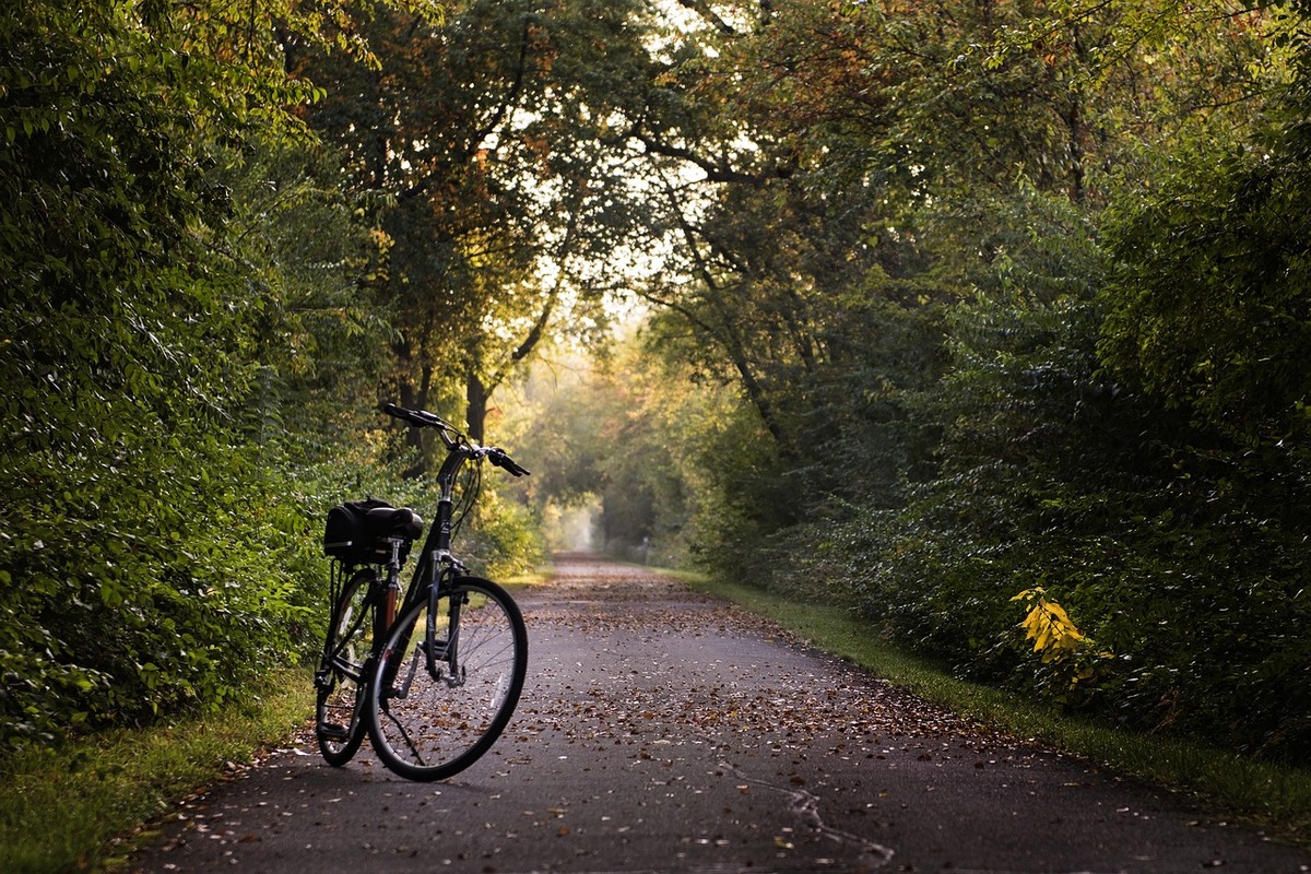 Bike on trail with leaves